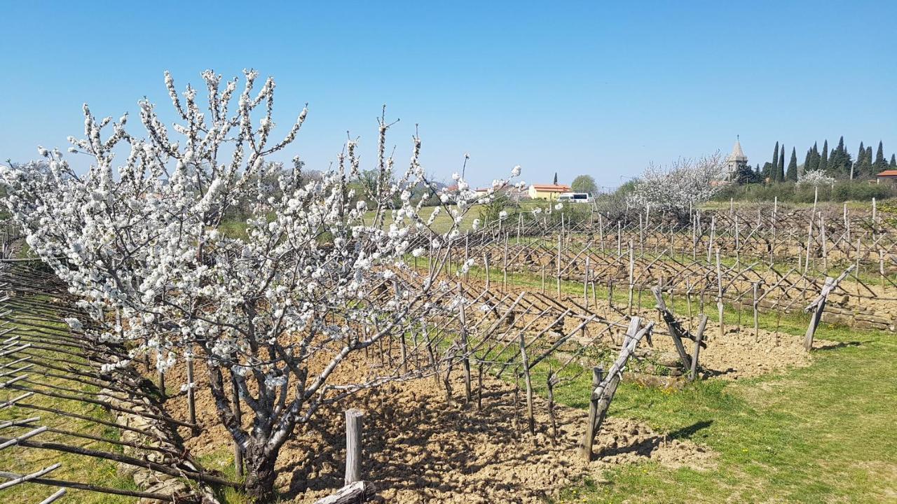 מארזיגה Apartma Panorama מראה חיצוני תמונה